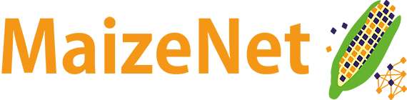 maizenet_logo.nav.png