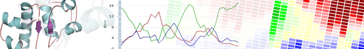 banner_1.jpg